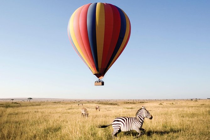 6 Day Luxury Safari Serengeti,Ngorongoro,Manyara,Tarangire,Arusha National Park - National Parks and Activities