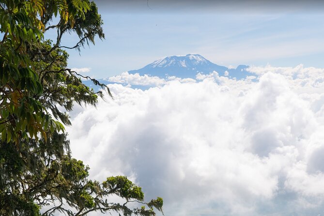 6-Day Mount Meru Climb Through Momella Route Guided Tour - Reviews and Ratings