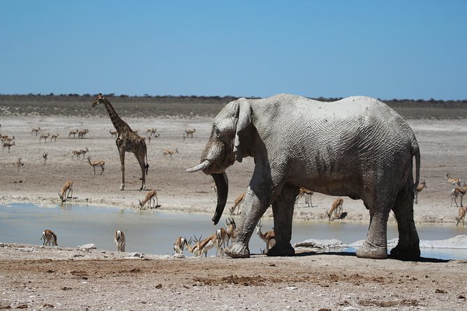 6 Day Private Guided Accommodated Namibian Loop - Booking and Pricing Information