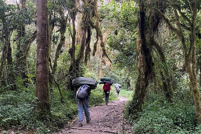 6 Days Climb Kilimanjaro via Marangu Route Private Guided Tour - Pricing and Cancellation