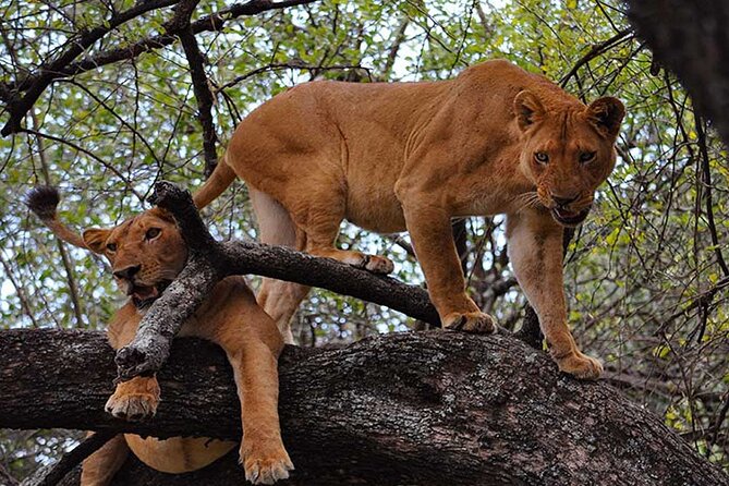 6 Days Extreme Cultural Experience & 2 Days Wildlife Safari - Inclusions and Exclusions