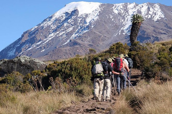 6 Days Marangu Route Mount Kilimanjaro Climb for Leisure - Frequently Asked Questions