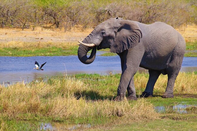 6 Days Safari : Manyara, Ngorongoro, Serengeti & Tarangire National Park - Frequently Asked Questions