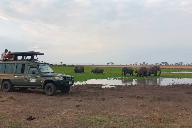 6 Days Serengeti Budget Safaris - Customer Reviews