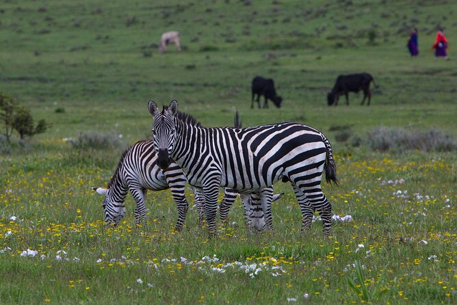 6 Days Tanzania Northern Circuit Safari - Dining Experiences
