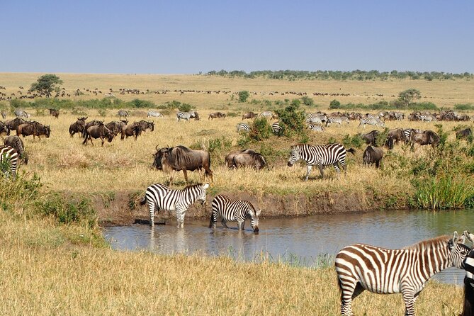 6 Days the Best of Tanzania Private Safari - Dining and Meals