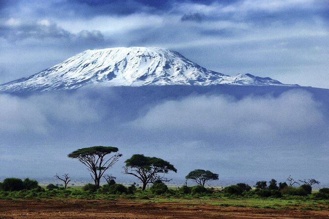7 Day: Hiking Kilimanjaro via Lemosho Route