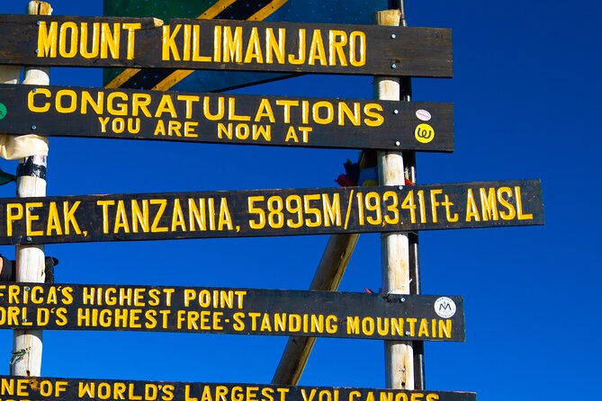7 Day New Years Eve Summit Trek Kilimanjaro via Lemosho Route - Additional Services and Options