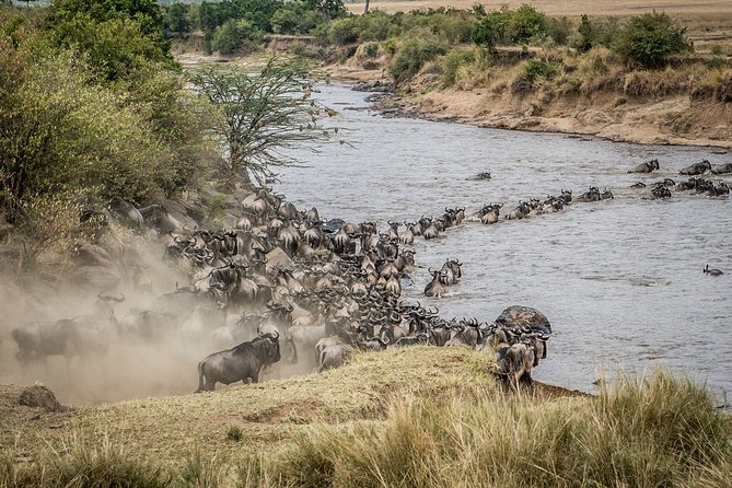 7-Day Private Migration Safari in Tanzania - Cancellation Policy