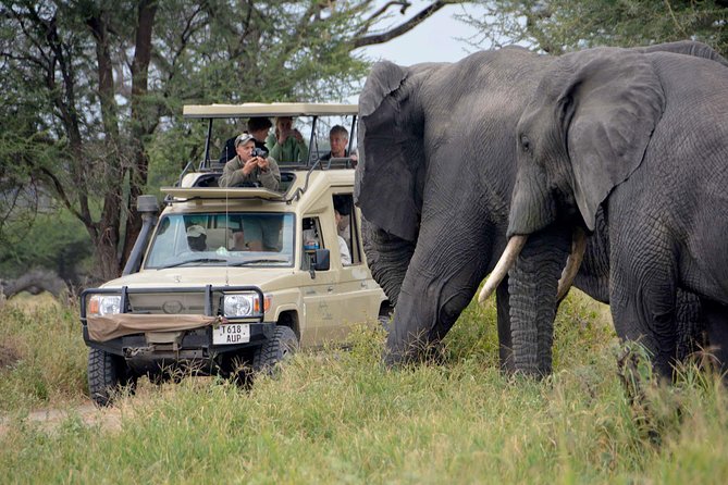 7-Day Tanzania Lodge Safari: Lake Manyara, Serengeti, Ngorongoro &Tarangire Park - Cancellation Policy