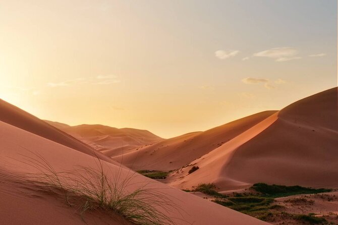 7 Day Tour in Marrakech Essaouira The Sahara Desert - Frequently Asked Questions