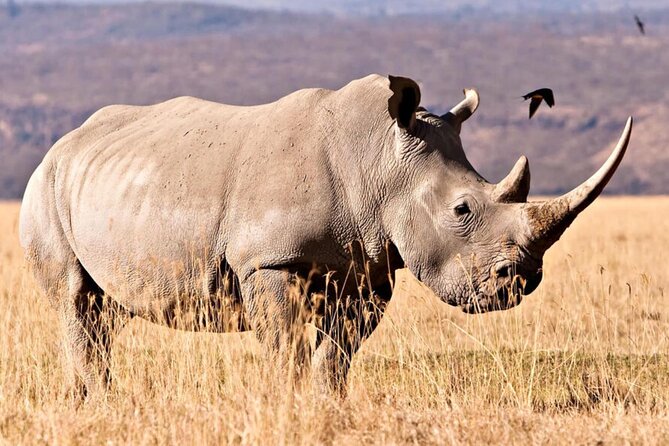 7 Day Tour to Durban to CapeTown, Garden Route & Addo National Pk - Booking Process