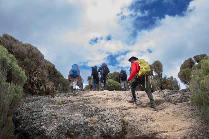 7 Day Trek To The Roof Of Africa Kilimanjaro via Machame Route - Frequently Asked Questions
