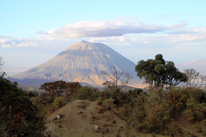 7 Days Cultural and Wildlife Safari - Booking Information