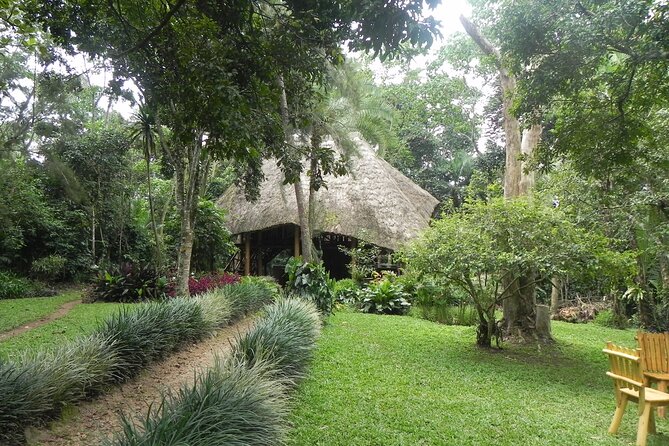 7 Days Flying Gorillas and Wildlife Safari Uganda Private Tour - Frequently Asked Questions