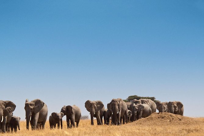 7 Days Kenya Tour Adventure - Activity Details and Expectations