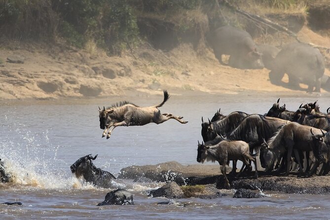 7 Days Northern Luxury Safari - Good To Know
