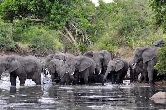 7 Days Tanzania Small Group Safari - Cancellation Policy and Refunds