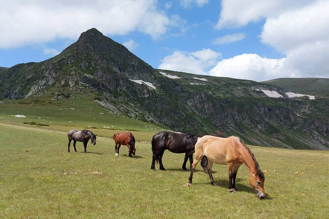 7 Rila Lakes and Rila Monastery Small Group Day Tour From Sofia - Customer Reviews