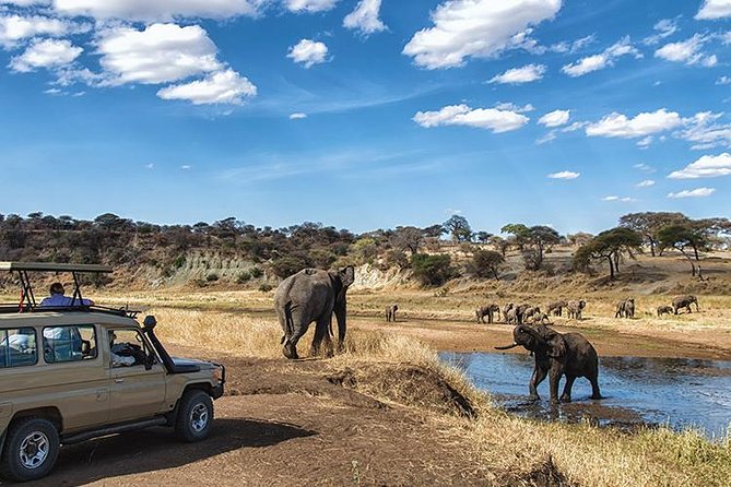 7Days Private Camping Safari Serengeti,Ngorongoro,Manyara,Tarangire,Arusha Parks - Meals and Refreshments Provided
