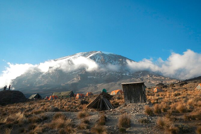 8 Day Kilimanjaro Lemosho Climb - Day 8: Mweka Camp to Moshi