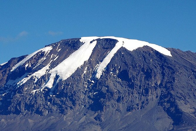 8-Day Lemosho Route Group Hiking on Kilimanjaro - Customer Reviews and Ratings