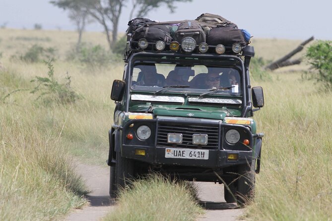 8-Day Private Wildlife Viewing and Chimpanzees Tracking Safari - The Sum Up