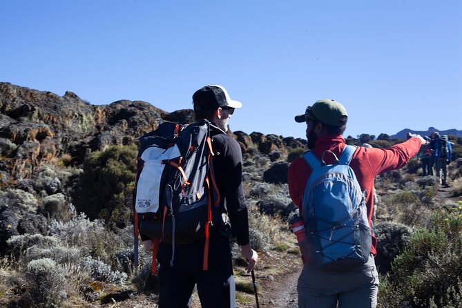 8 Days Kilimanjaro Climbing { Hiking } Tour via Lemosho Route - Booking Information