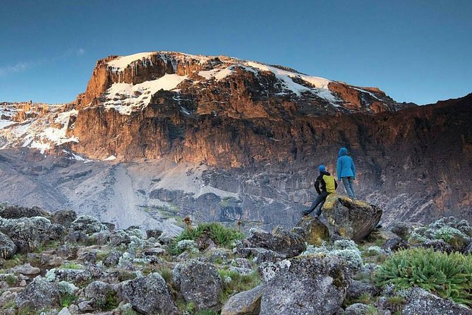 8 Days Mount Kilimanjaro Lemosho Route Climb - Day-by-Day Itinerary