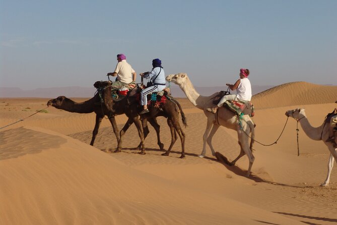 8 Hour Private Desert Camping and Stargazing in Sharm El Sheikh - Bedouin Dinner Experience