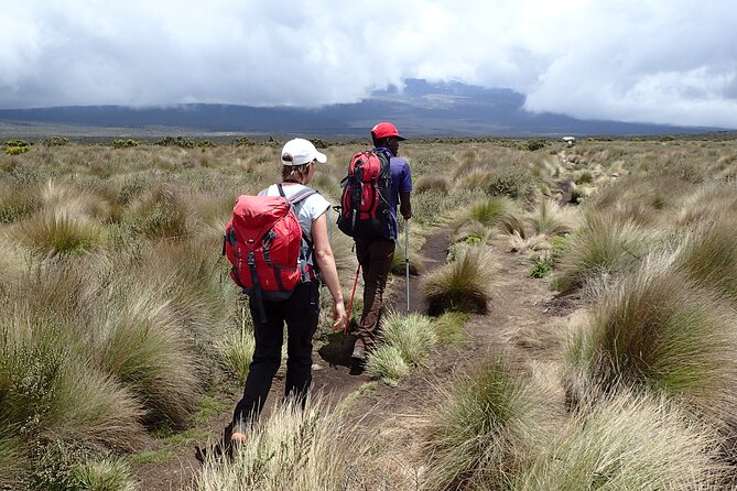 9 Days Kilimanjaro Climb via Lemosho Route - Accommodation and Meals