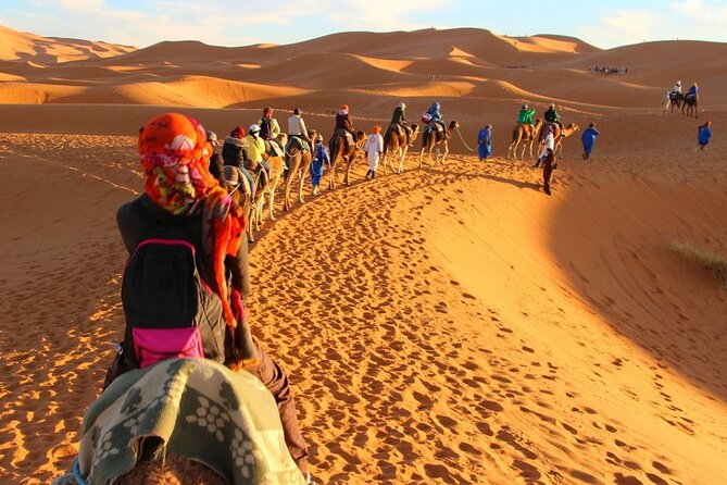 9 Days Morocco Tour From Casablanca - Local Guides and Activities