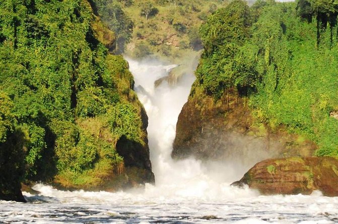 9 Days Uganda Safari - Frequently Asked Questions