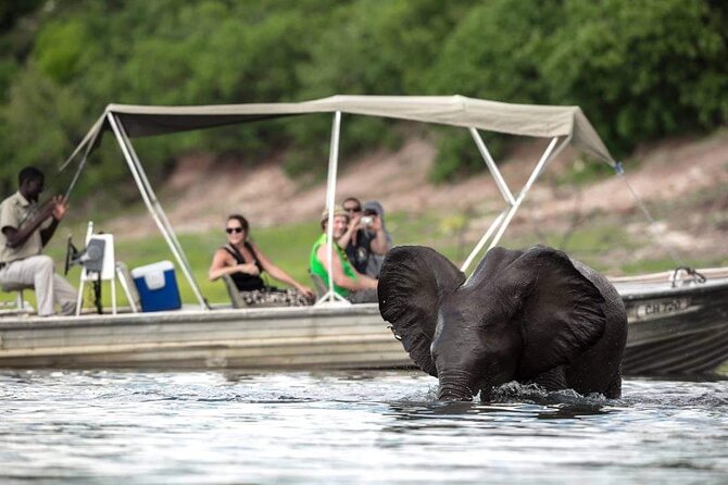 A Chobe Full Day Tour - Botwana - Important Information