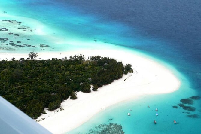 A Half Day Private Dolphins And Snorkeling Tour To Mnemba Island - Customer Reviews