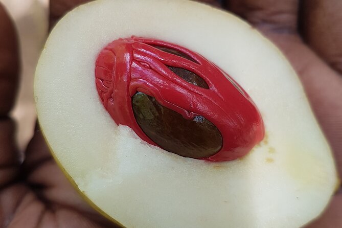 A Half Day Private Tour To Spice Farm - Reviews and Ratings