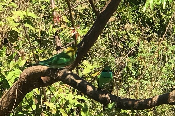 A Multi Day Tour Around Sri Lanka With Our Personal Driver - Frequently Asked Questions