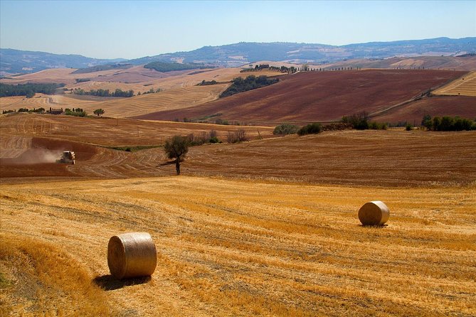 A Sunday in the Crete Senesi Between Artist Gardens And Benedictine Monasteries