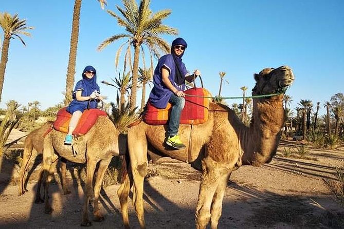 A Taste of Morocco: Casablanca to Marrakech - 7 Days - Day 6: Ait Benhaddou and Marrakech