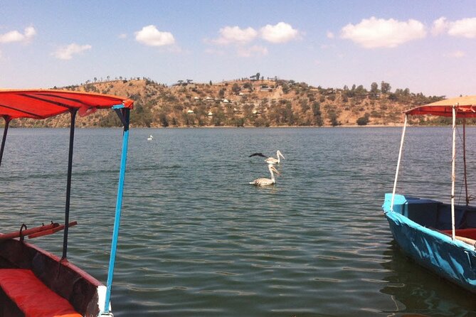 Addis Ababa Spa -Day Trip To Debre Ziet(Resort Towns) - The Sum Up