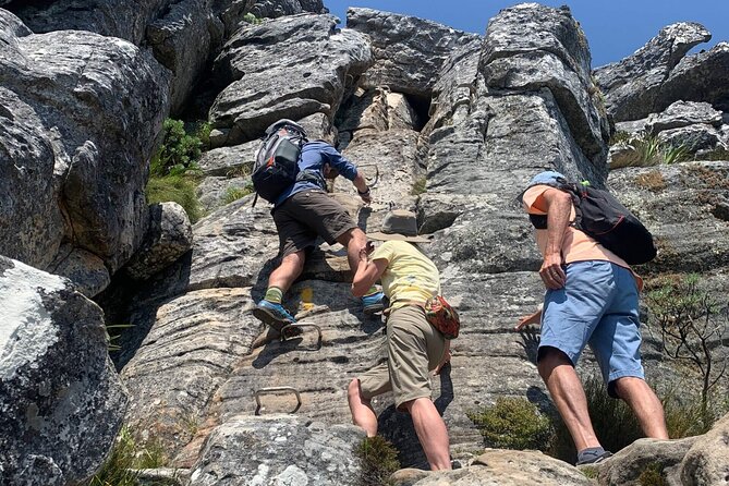 Adventurous Summit Hike Tour on Table Mountain in Cape Town - The Sum Up