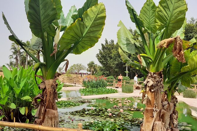 Agadir Crocoparc Tour With Local Guide - Booking Details