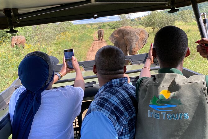 Akagera National Park One Day Safari Experience - Good To Know