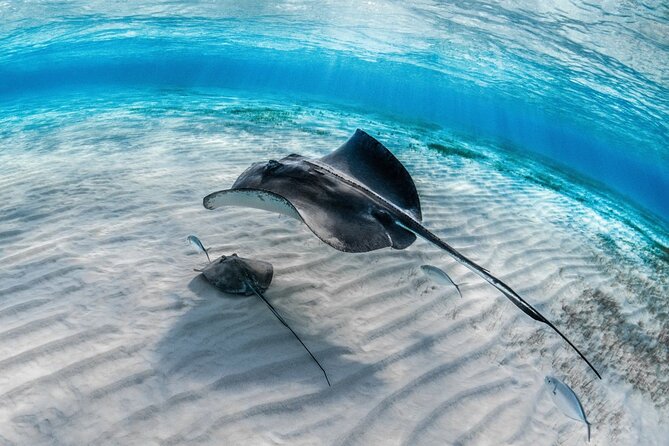 Alanya Scuba Diving Tour - Additional Information
