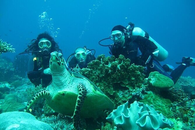 Alanya Scuba Diving With Lunch and Transfer - Frequently Asked Questions