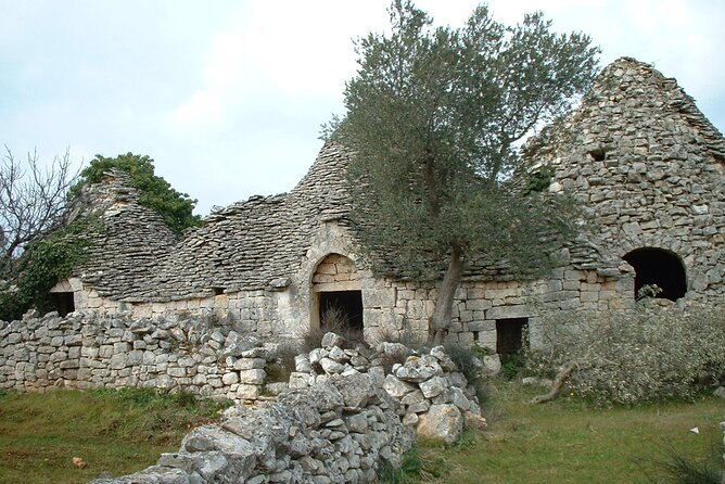 Alberobello - Unusual and Instagrammable Trulli - Urban Trail - Price Details