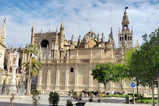 Alcazar and Cathedral, the Must-Sees, Private Tour. - Private Tour Benefits