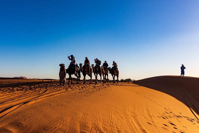 All in DESERT 4X4 Safari, Camel Trek With Bedouin Dinner 2 Days / 1 Night