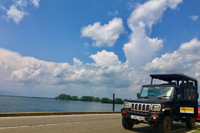 All Inclusive Safari at Udawalawa National Park