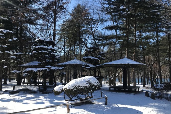 Alpaca World & Nami Island & Garden of Morning Calm One Day Tour - Booking Details